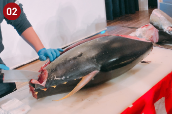 マグロ解体ショー2